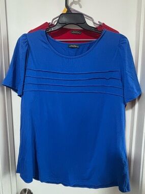 (2 shirts) Women’s Blue and Red Short Sleeve Pleated Front Top